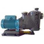 Calpeda MPCM 21/A 230V 0.55kW návod