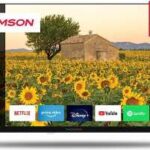 Thomson 24HA2S13 návod