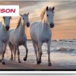 Thomson 50UA5S13 návod