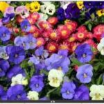 Uniview MW3243-FV návod