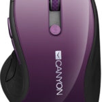 Canyon CNS-CMSW01P návod