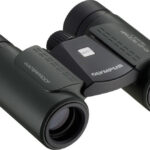 Olympus 10x21 RC I návod