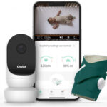 Owlet Smart Sock Plus Mentolová návod