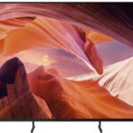 Sony FWD-55X80L návod