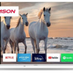 Thomson 50UA5S13W návod