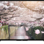 JVC LT-50VU2205 návod