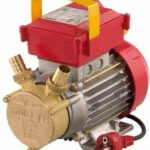 Rover Pompe BE-M 40 230V 1