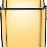 Babyliss Pro Double Foil Metal Shaver FXFS2GE Gold návod