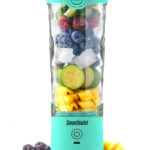 SmoothieJet přenosný USB smoothie mixér 600 ml - voděodolný - model 2023 Mentolová návod
