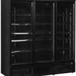 TEFCOLD Atom Maxi C3DBB návod