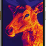 Ulefone Armor 25T Pro 5G 6GB/256GB Frost Black návod