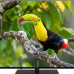 JVC LT-55VU6355 návod