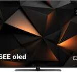 Loewe We. SEE 65 návod